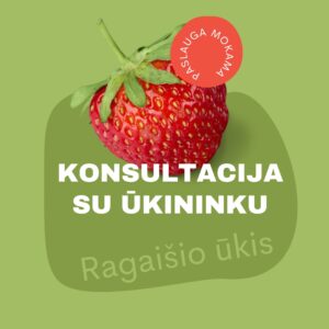 Konsultacija braškių auginimo klausimais